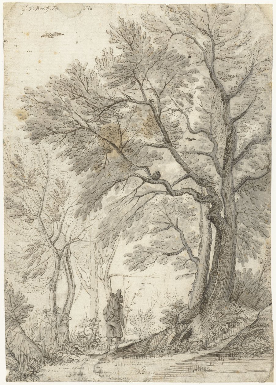 Floresta da Villa Madama fora de Roma de Gerard ter Borch