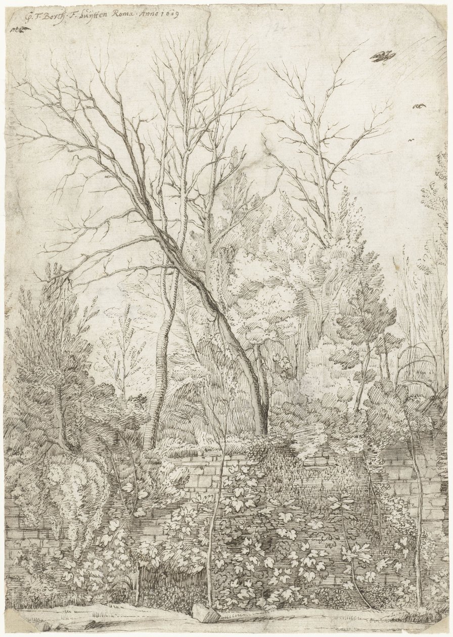 Jardim da Villa Madama, fora de Roma de Gerard ter Borch