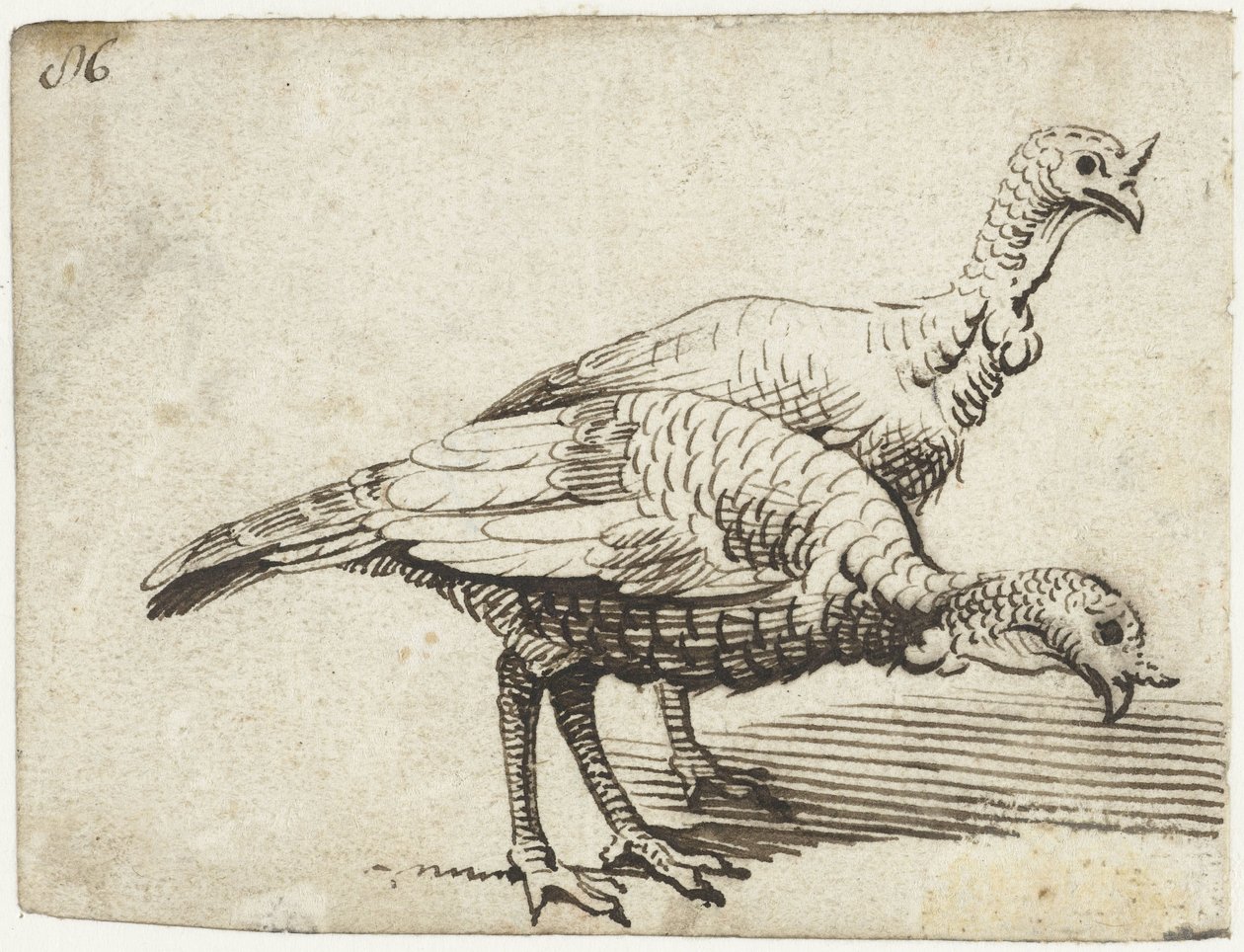 Dois perus de Gerard ter Borch (I)