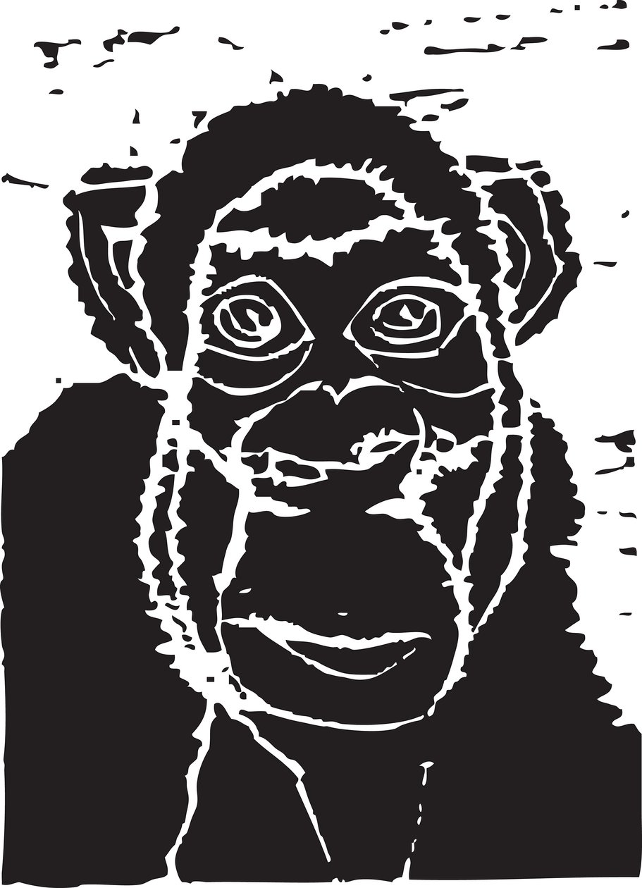 Chimpanzé de Gerhardt Isringhaus