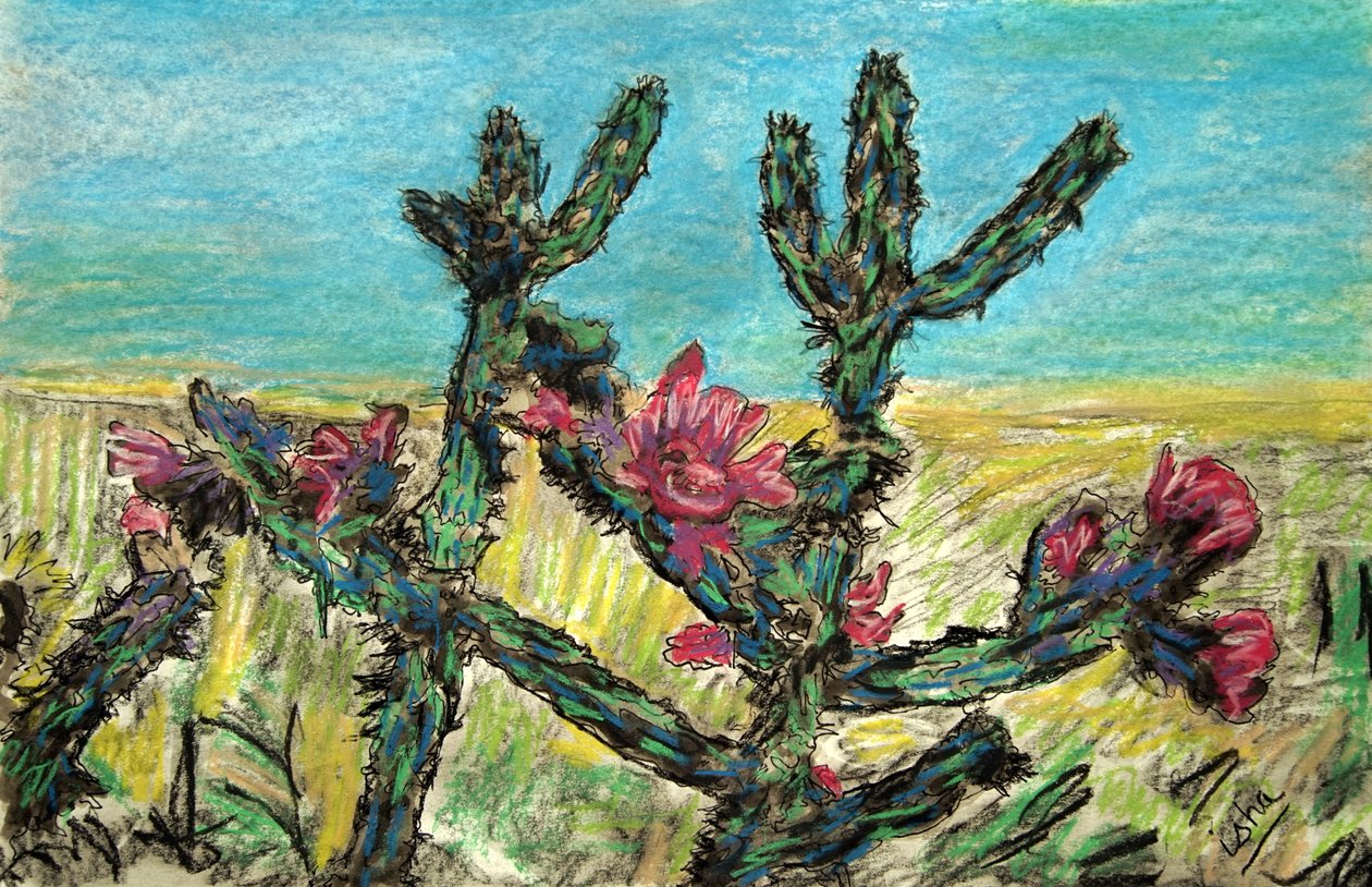 Cholla in Bloom, 2017 (desenho sobre papel) de Gerhardt Isringhaus