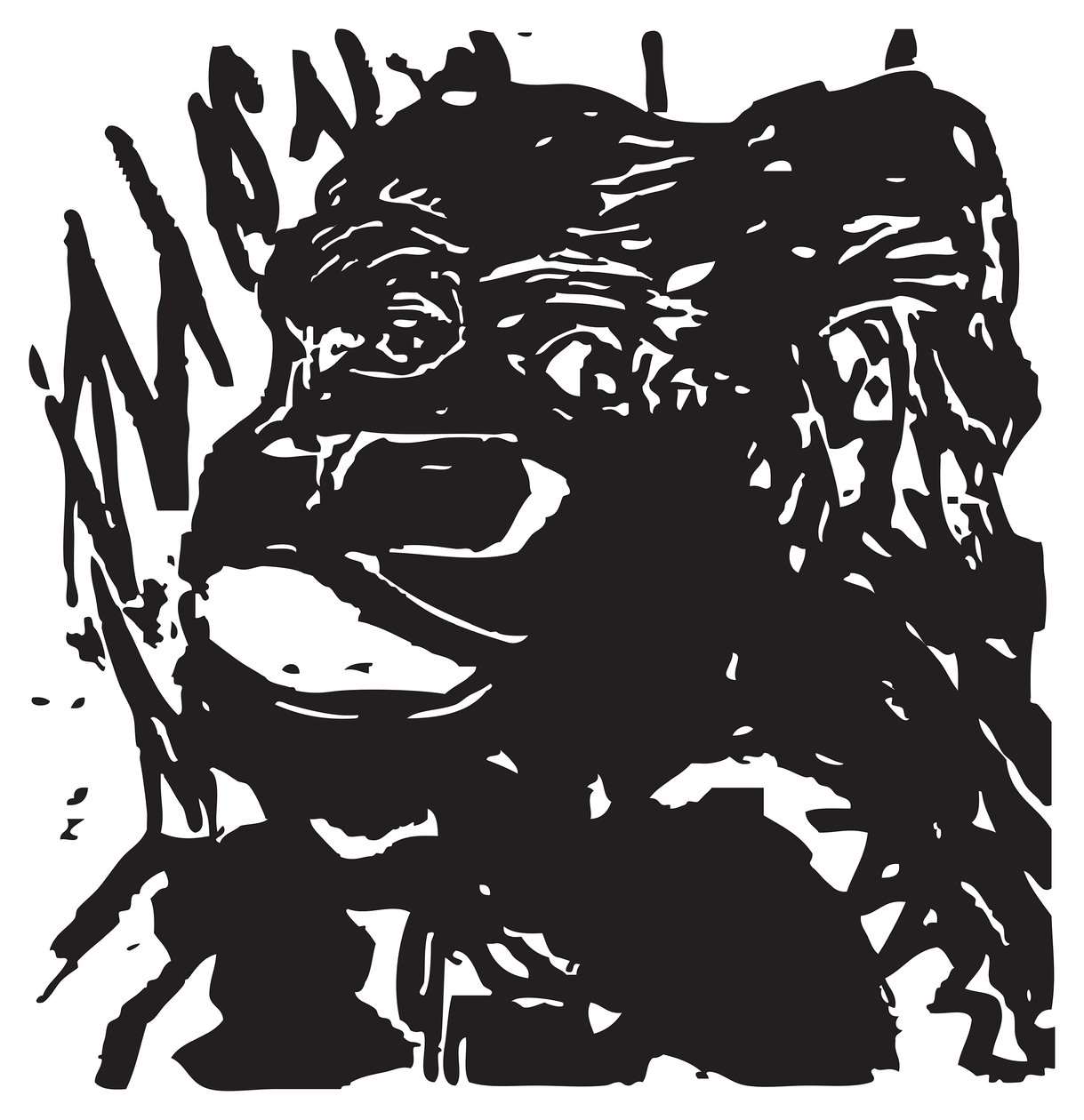 Coy Gorilla de Gerhardt Isringhaus