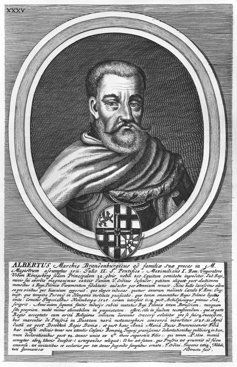 Albert de Brandemburgo (xylograph) de German School