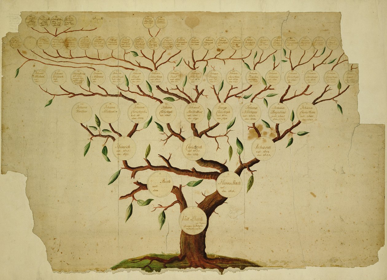 Bach Family Tree, c.1750-1770 (caneta e tinta e lápis sobre papel) de German School