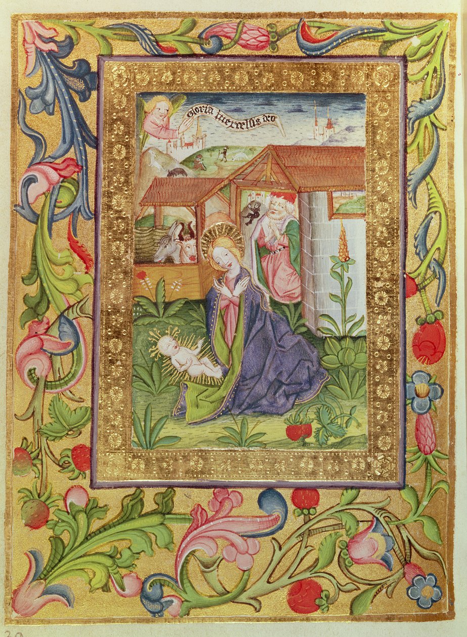 Codex Ser Nov 2599 f. 39v O nascimento de Cristo de German School