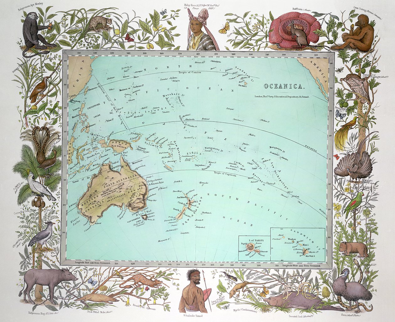 Oceanica, do Atlas Físico de Vogel, c.1850 de German School