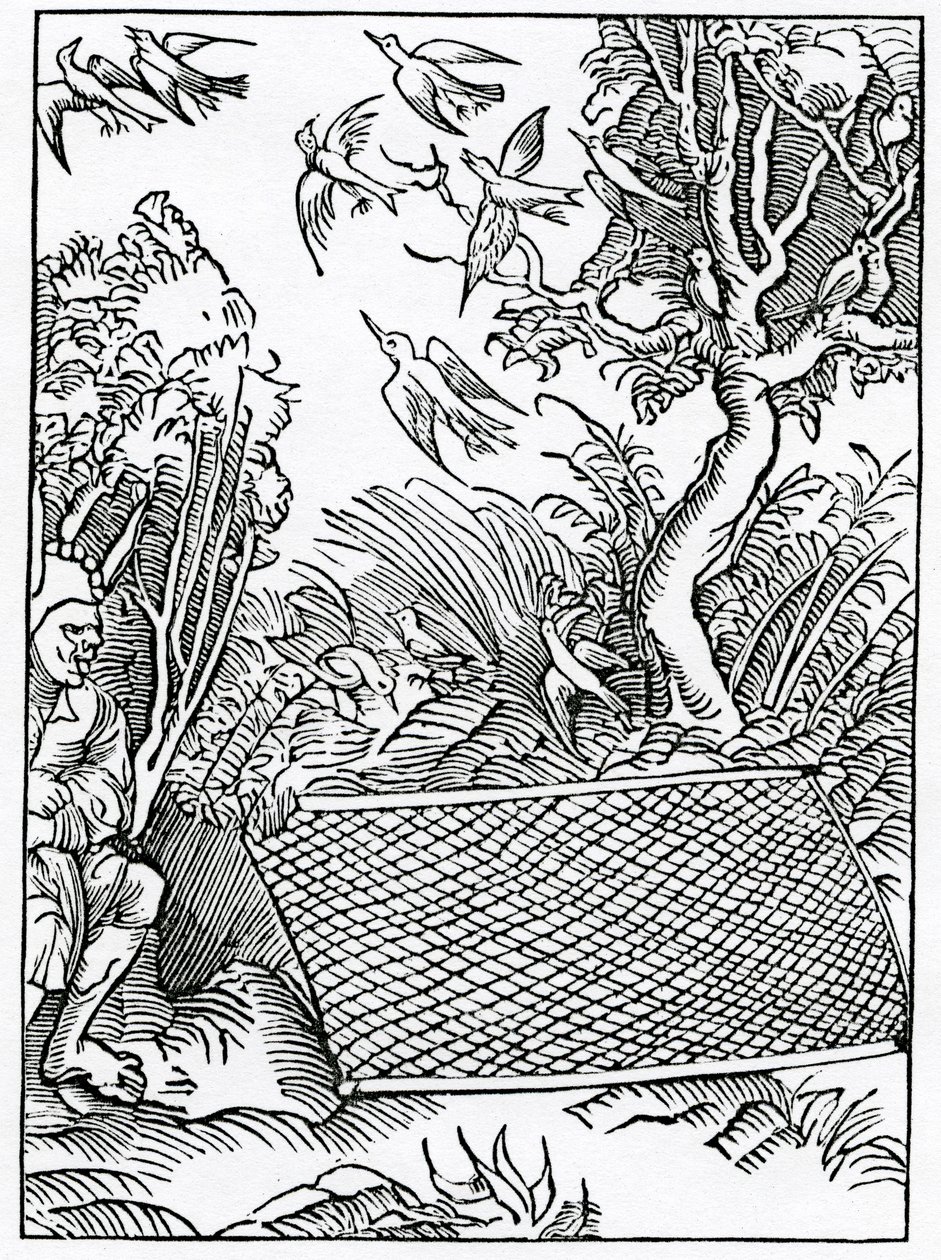Dos mais abertos takynges of counsell, ilustração da tradução inglesa de Alexander Barclay de &39;The Ship of Fools&39;, de uma edição publicada em 1874 de German School