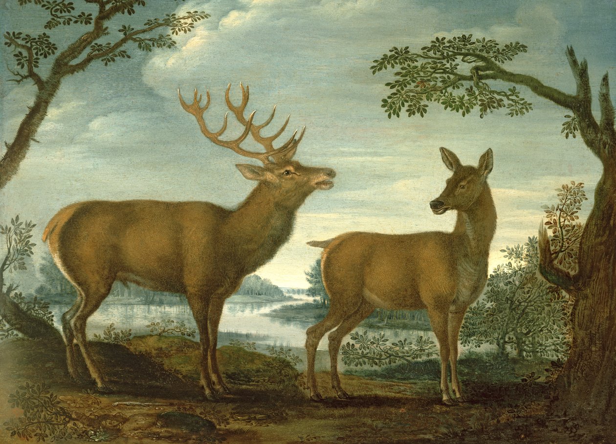 Veado e traseiro em uma paisagem arborizada (painel) de German School