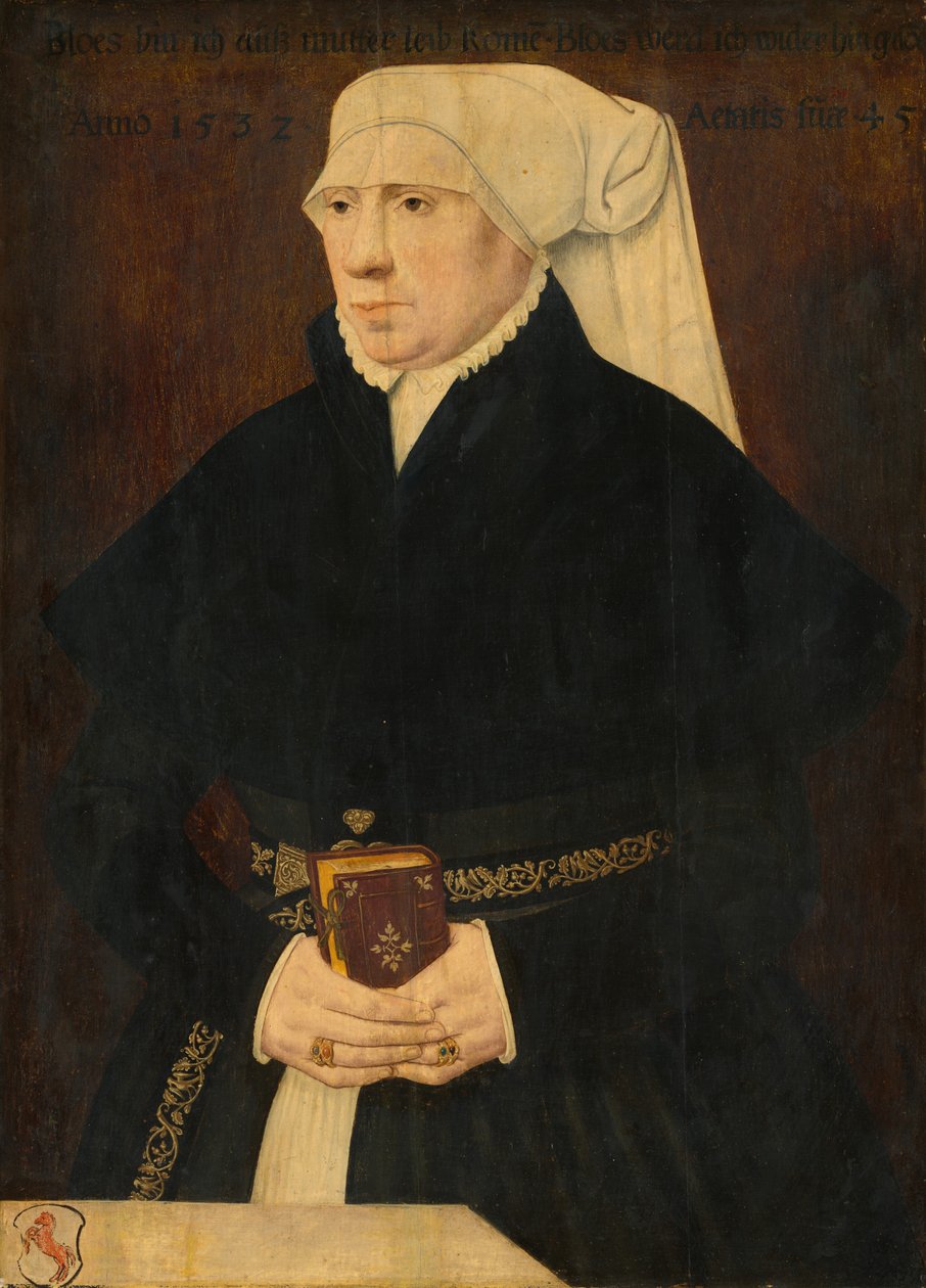 Retrato de uma senhora de German 16th Century