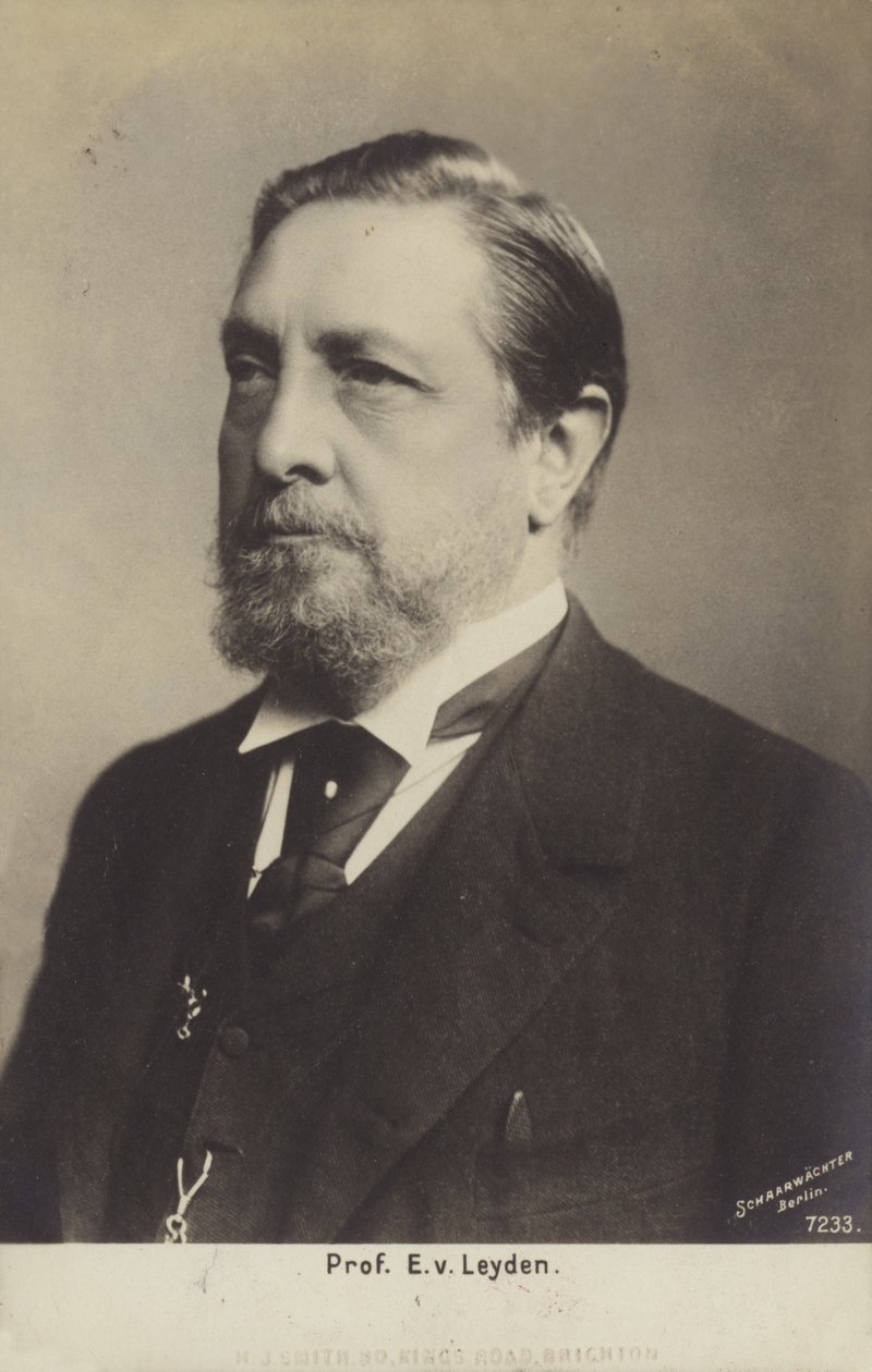 Professor Ernst Viktor von Leyden (1832-1910), médico alemão (fotografia a preto e branco) de German Photographer