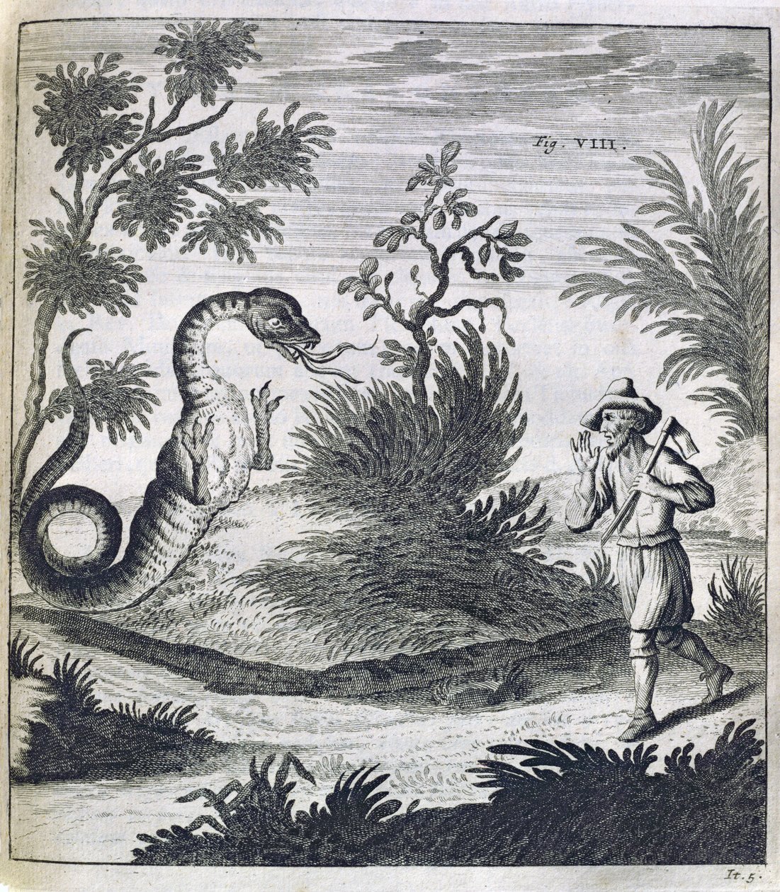 Um Dragão Temeroso, c.1660 de German School
