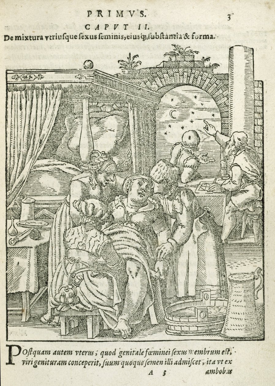 Uma mulher no trabalho, ilustração do capítulo 2, livro 1 de na concepção e crescimento do homem por Rueff, 1587 de German School