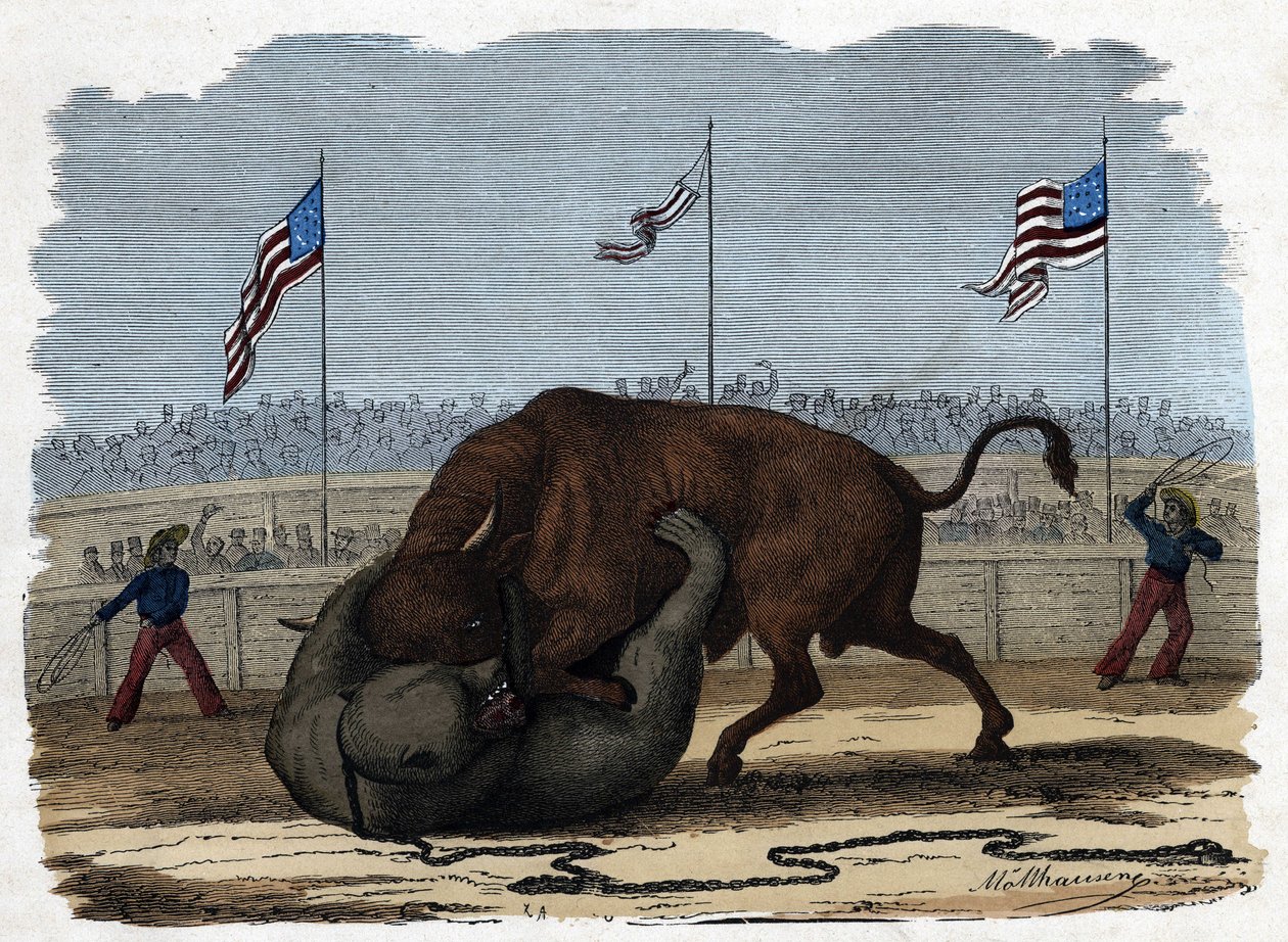 Uma luta feroz entre um touro e um urso numa arena. Em "Wenn Jemand eine Reise thut, so kann erzahlen" (Quando alguém viaja, isto é o que ele pode dizer), conto alemão de Franz Wiedemann de German School