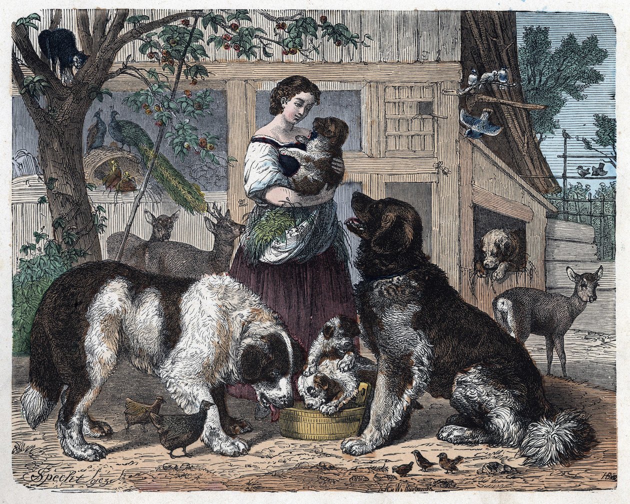 O afecto entre um agricultor e os seus cães. Em "Wenn Jemand eine Reise thut, so kann erzahlen" (Quando alguém viaja, isto é o que ele pode dizer), conto alemão de Franz Wiedemann de German School