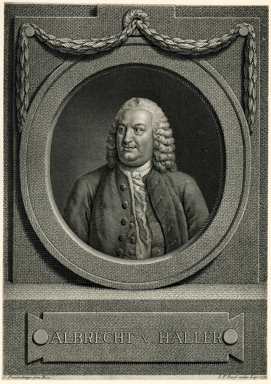 Albert von Haller de German School