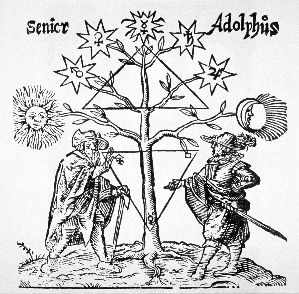 Árvore Alquímica, Diagramatica e Emblemática, do Museu Hermeticum de Thomas Norton (1749) ilustrado em uma história da magia publicada no final do século XIX de German School