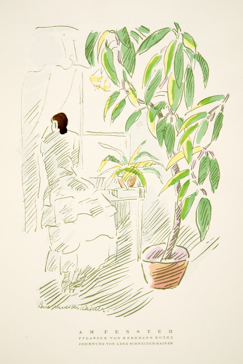 Am Fenster, plantas de Hermann Rothe, de Styl, pub.1922 (pochoir print) de German School