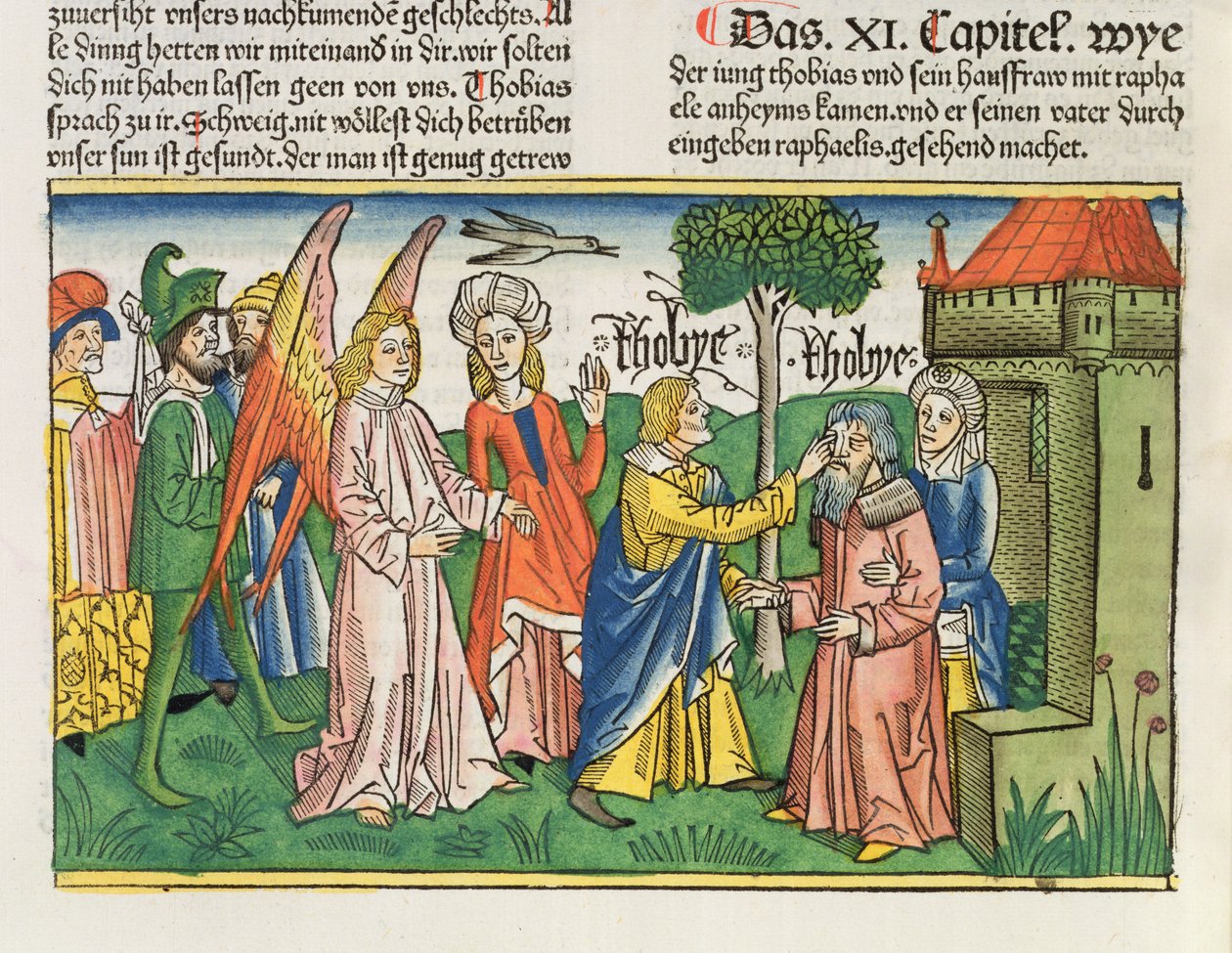 Apocrypha: Tobias restaura seu pai Tobits sight com o fel de um peixe, da Bíblia de Nuremberg (Biblia Sacra Germanaica) (xilogravura colorida) de German School