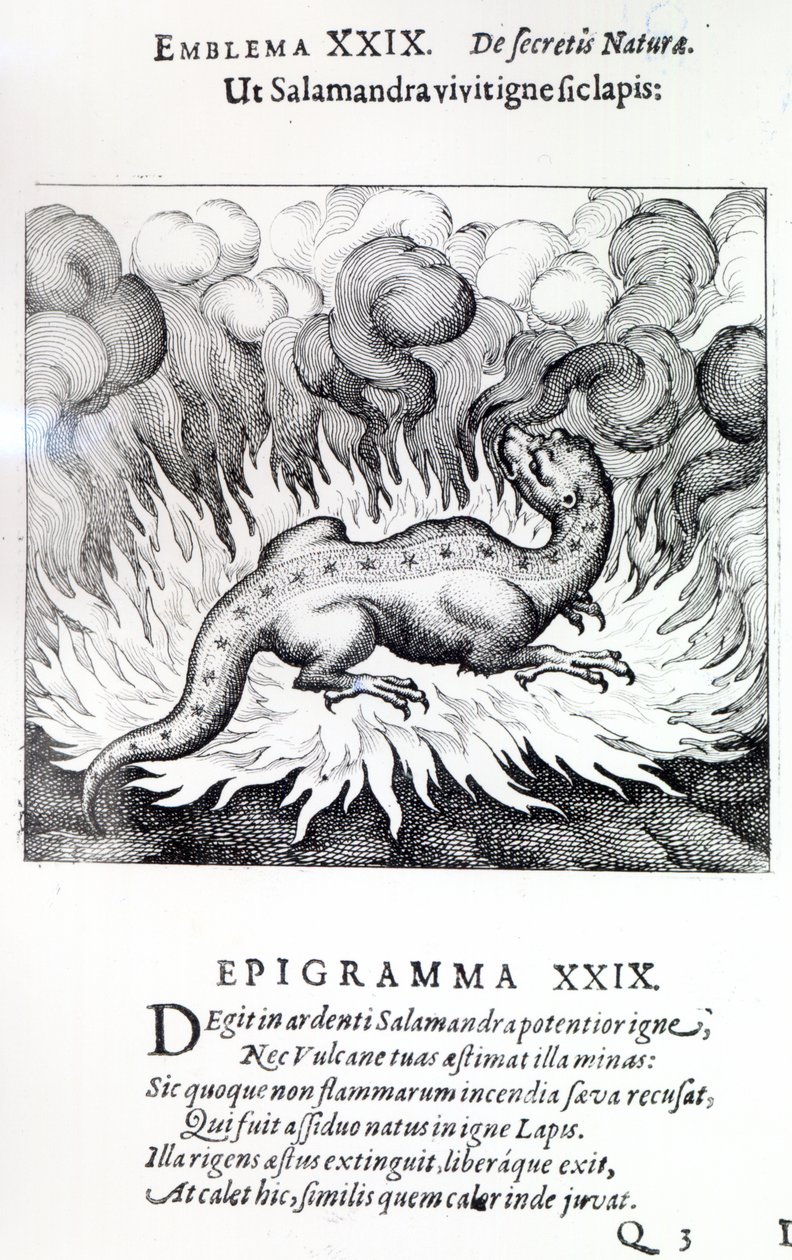 Como a Salamandra vive no fogo, também a Pedra, Emblema XXIX da Atalanta fugiens, de Michael Maier, 1617 de German School