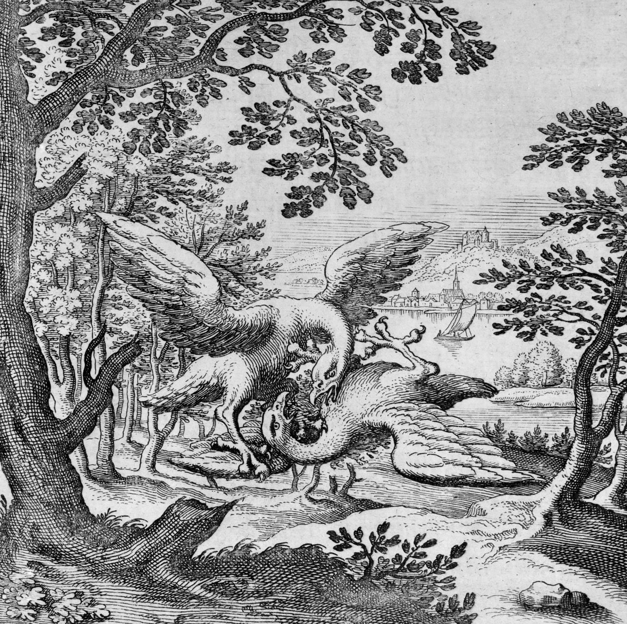 Aves que lutam a partir de Musaeum Hermeticum de German School