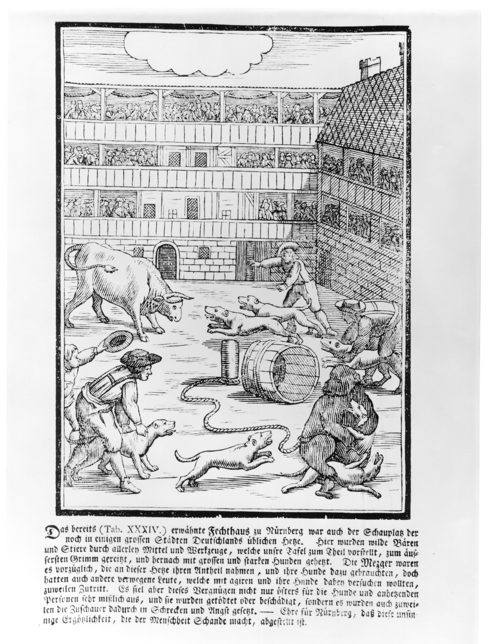 Bull and bear Baiting de German School