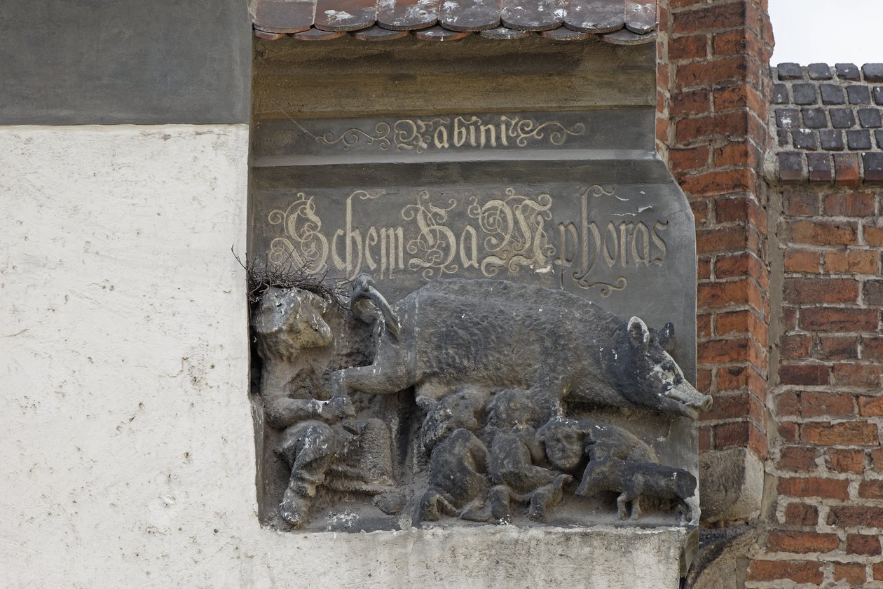 Talha representando o Judensau, c.1440 (pedra) de German School