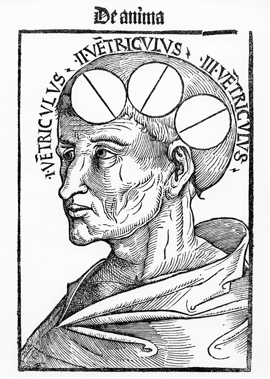 Cavidades do Cérebro, da Philosophia Naturalis, de Albertus Magnus, publicado em Basel, 1506 de German School