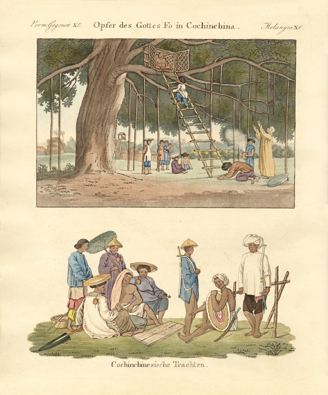 Cochin Chinês usos e vestidos (gravura colorida) de German School