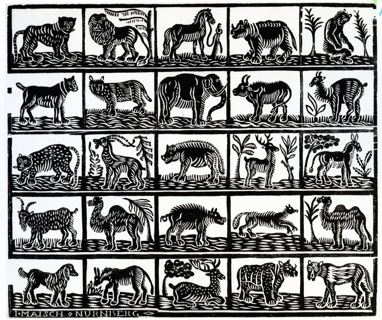 Coleção de animais de German School