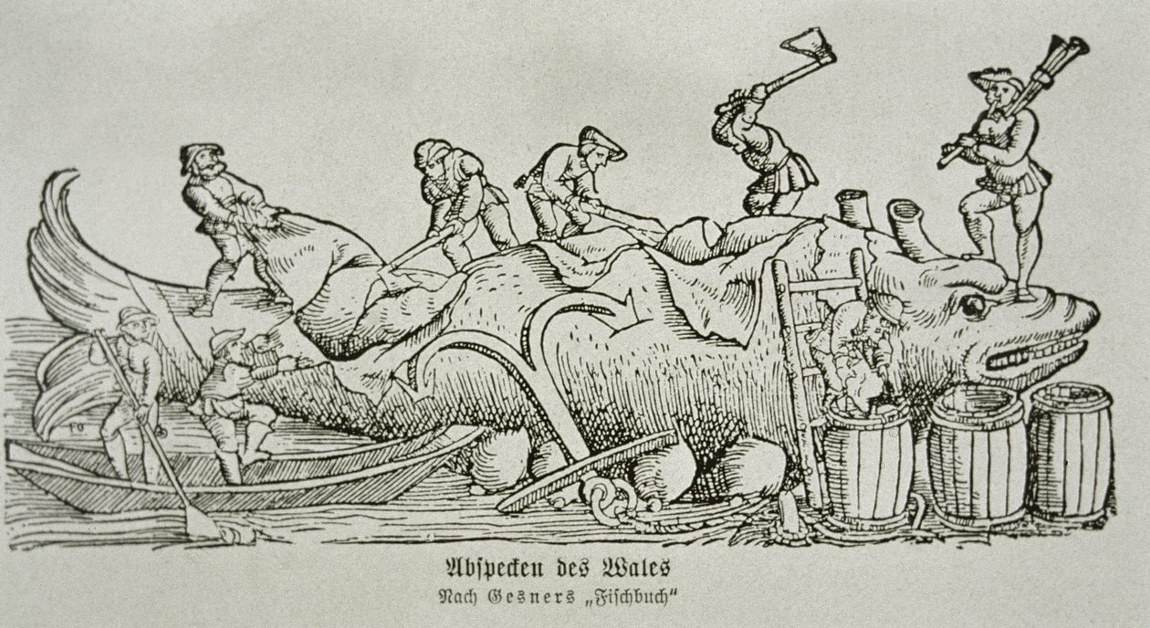 Cortar uma baleia (xilogravura) de German School
