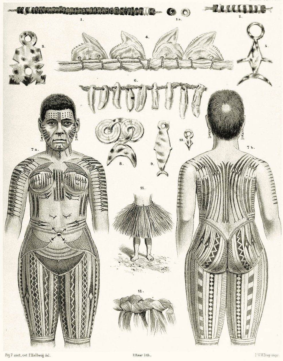 Diagrama mostrando jóias polinésias, ornamentos e desenhos de tatuagem, 1888 de German School