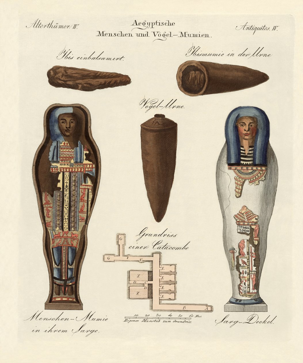 Múmias egípcias de German School