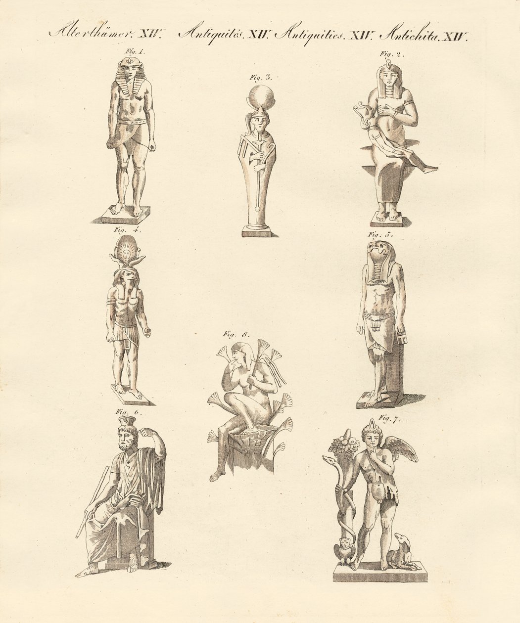 Divindades egípcias (gravura colorida) de German School