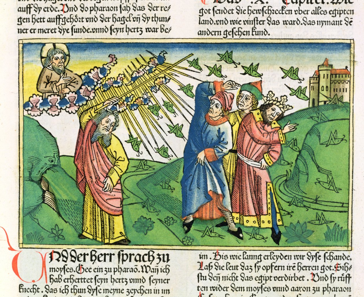 Êxodo 10: 1-20 As Sete Pragas do Egito: a praga dos gafanhotos, da Bíblia de Nuremberg (Biblia Sacra Germanaica) (xilogravura colorida) de German School