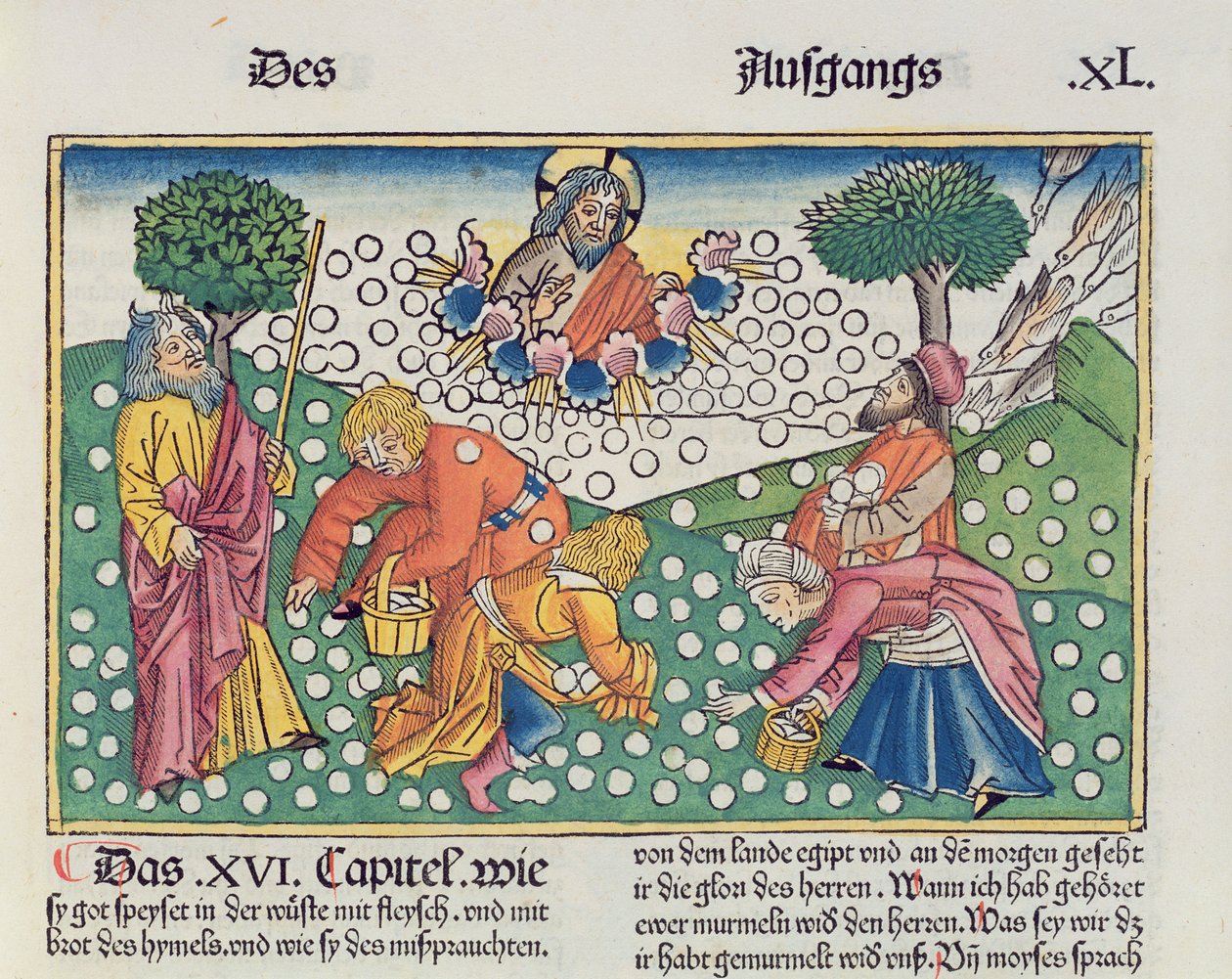 Êxodo 16 13-22 Deus provê codorna e maná para os israelitas, da Bíblia de Nuremberg (Biblia Sacra Germanaica) (xilogravura colorida) de German School