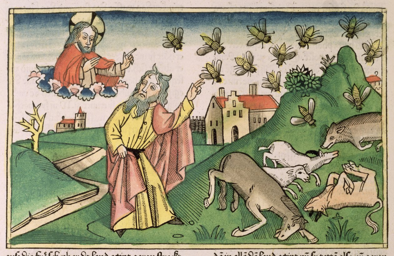 Êxodo 8 20-32 As Sete Pragas do Egipto: Moisés e o enxame de moscas, da "Bíblia de Nuremberga (Biblia Sacra Germanaica)" (xilogravura colorida) de German School