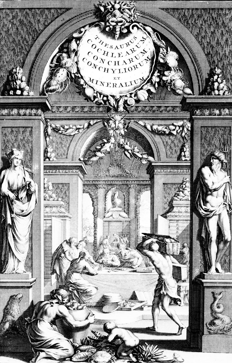 Frontispiece imagens tesouro de potes de peixe por edição Eberhard Bumphius publicada em 1739 de German School