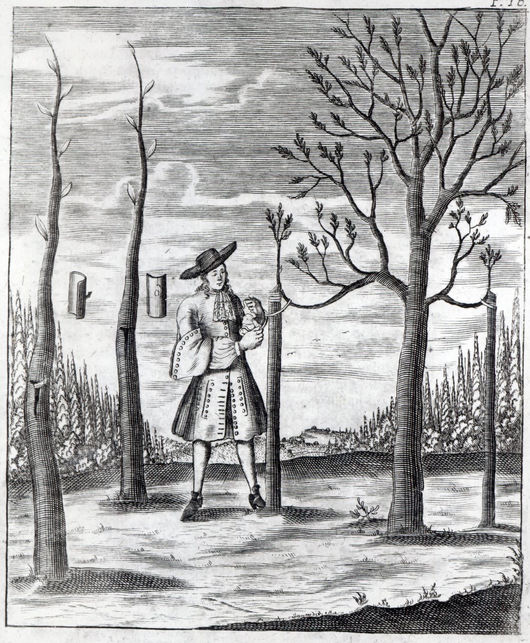 Gardening and Plant Maladies, uma ilustração de "Neue Garten-lust", de Heinrich Hesse, 1696 de German School