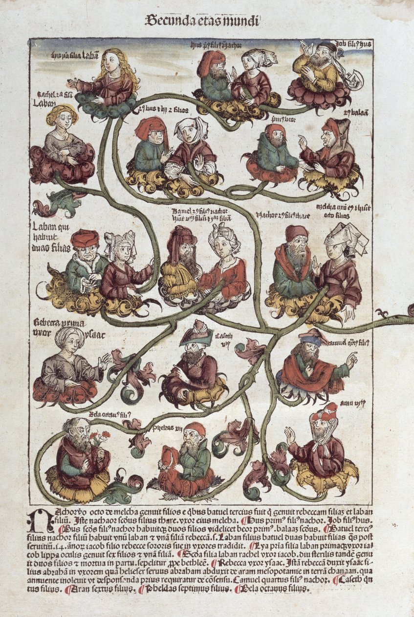 Árvore Genealógica de Laban, de &39;Liber Chronicarum&39; por Hartmann Schedel (1440-1514) 1493 (cor xilogravura) de German School