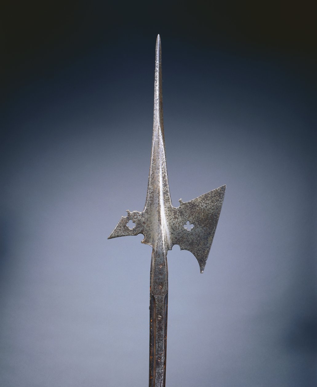 Halberd, c.1500-25 de German School