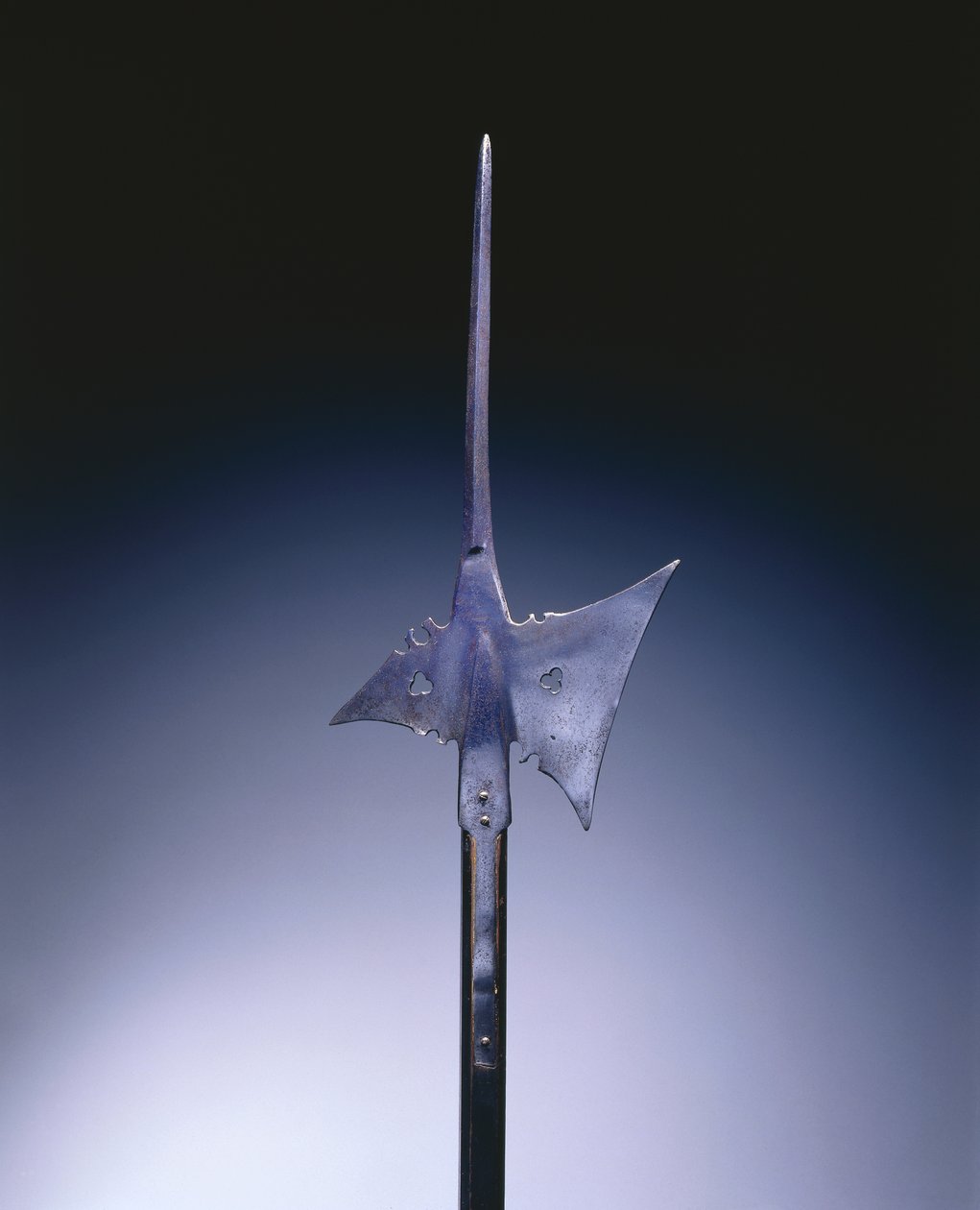 Alabarda, c.1550 (aço e madeira) de German School