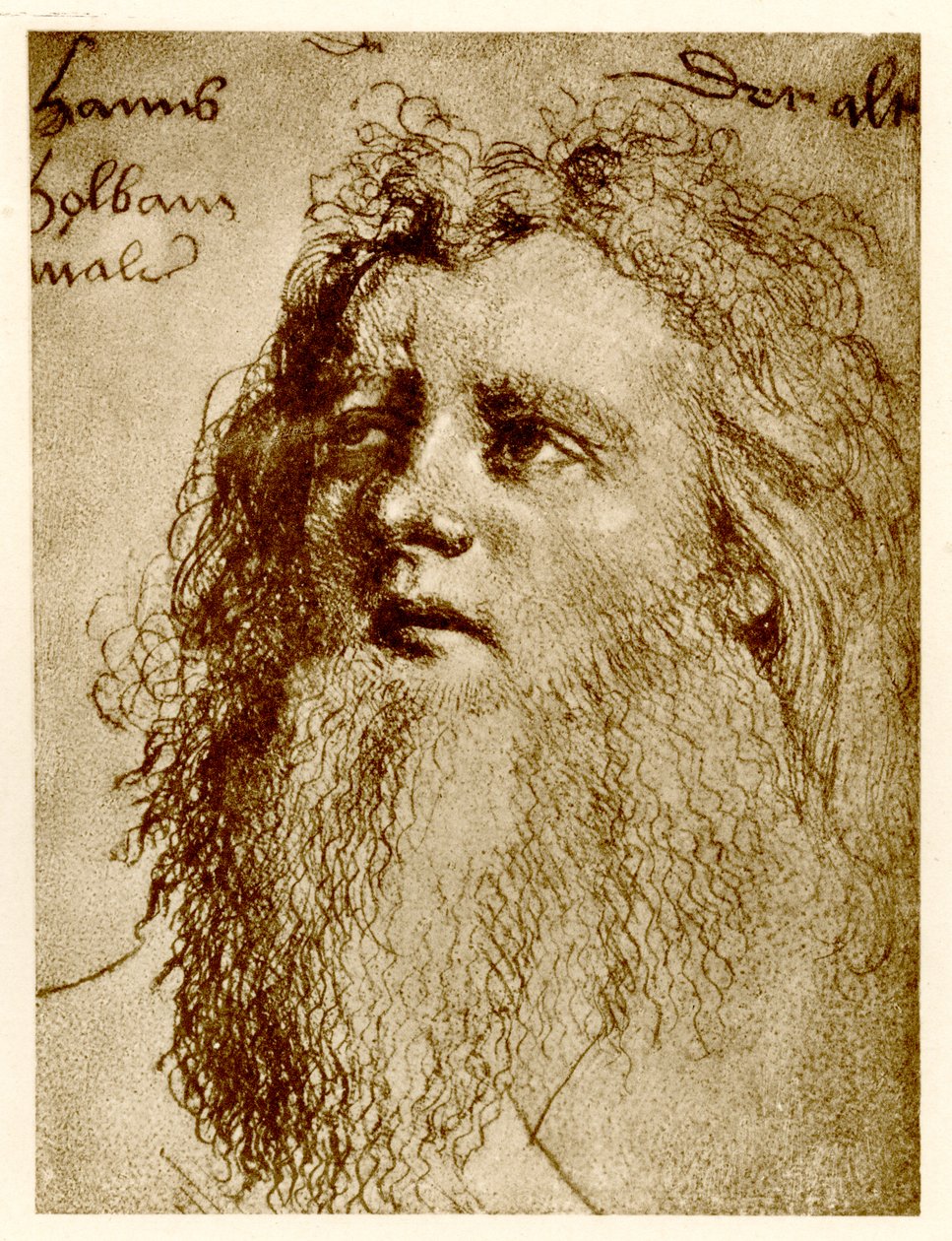 Hans Holbein, o Velho, 1884-90 (fototipo) de German School
