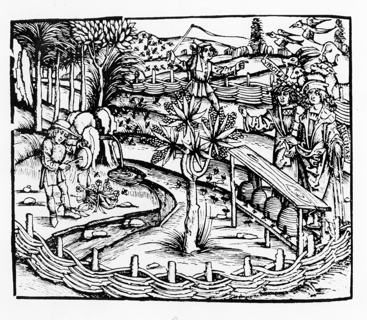 Maridos felizes tendendo abelhas, ilustração do Georgics por Virgil, livro IV, de Sebastian Brants (1457-1521) edição, publicado em 1502 de German School