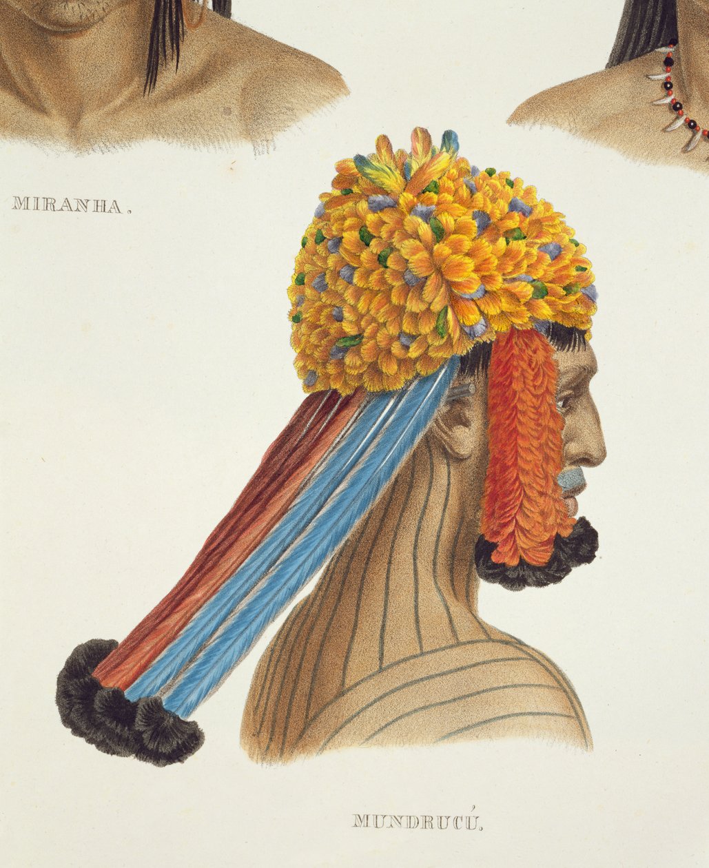Cabeça de um homem da tribo Mundrucu, da Travels in Brazil (detalhe de 92094) de German School