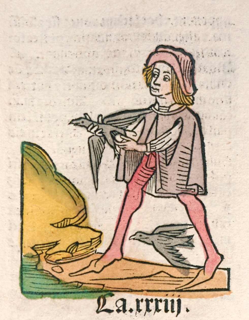 Hortus Sanitatis [O Jardim da Saúde] de Jacob Meydenbach publicado em 1491(woodcut) de German School