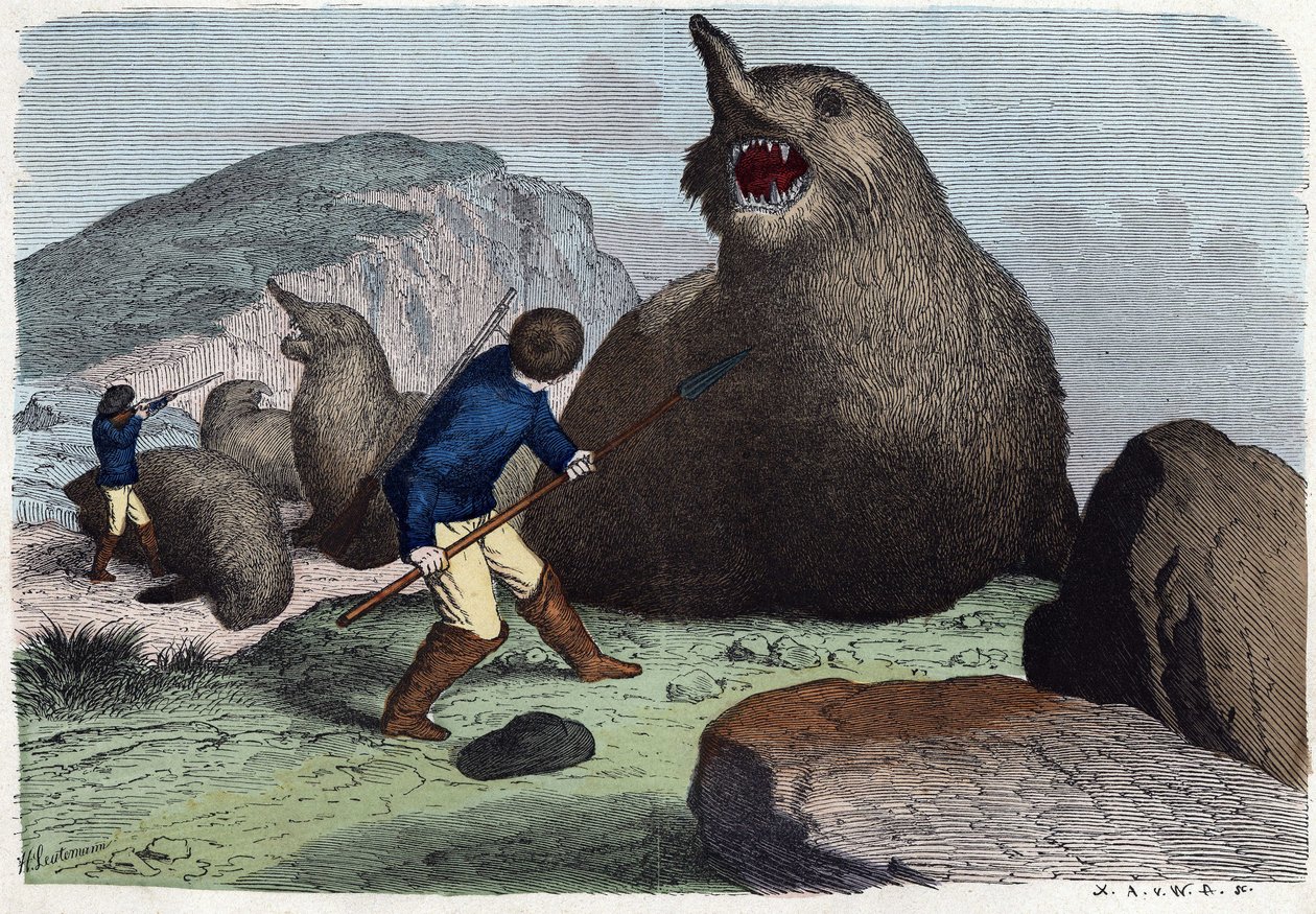 Caçadores que combatem elefantes marinhos. Em "Wenn Jemand eine Reise thut, so kann erzahlen" (Quando alguém viaja, isto é o que ele pode dizer), conto alemão de Franz Wiedemann de German School