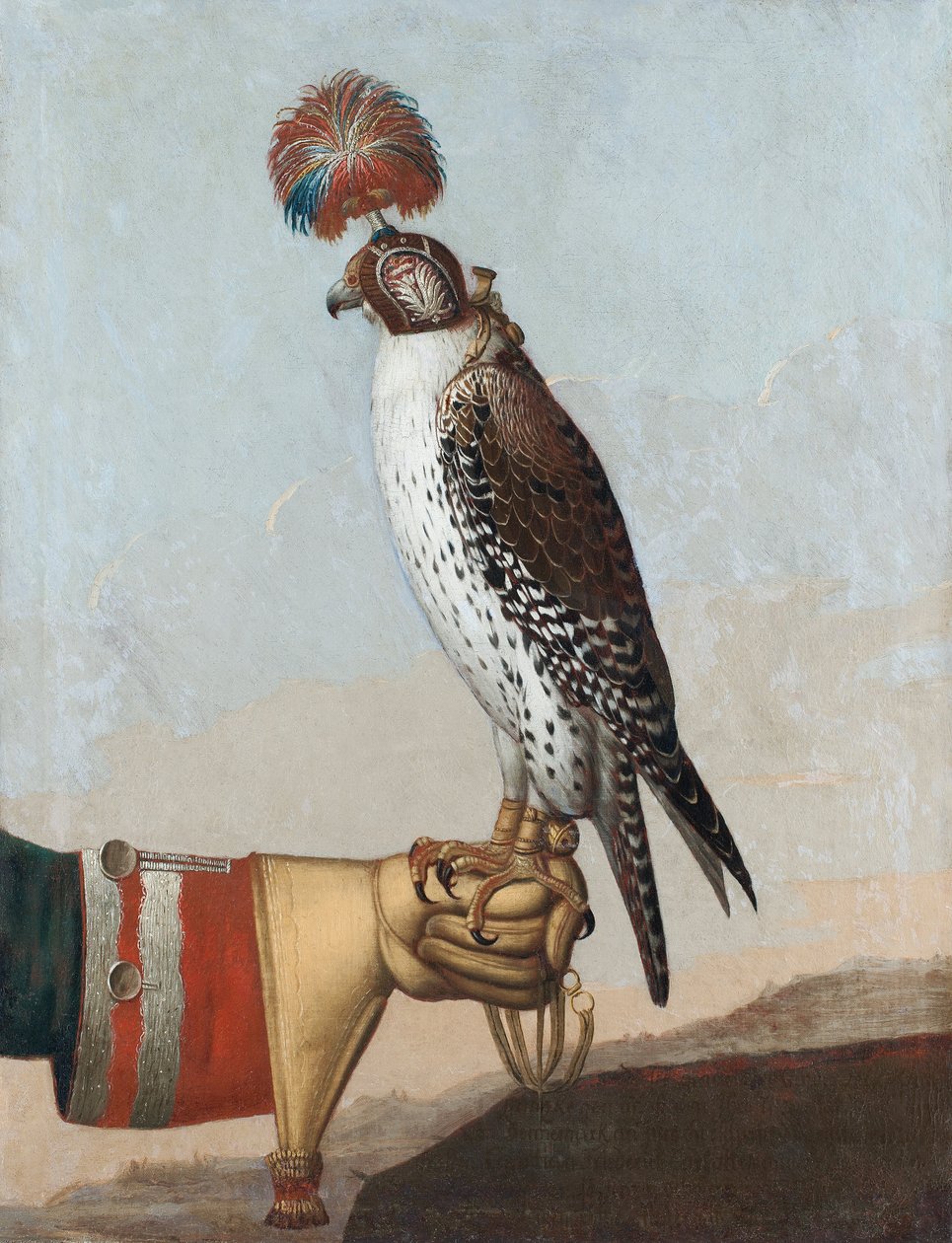 Gerfalcon islandês, 1759 de German School