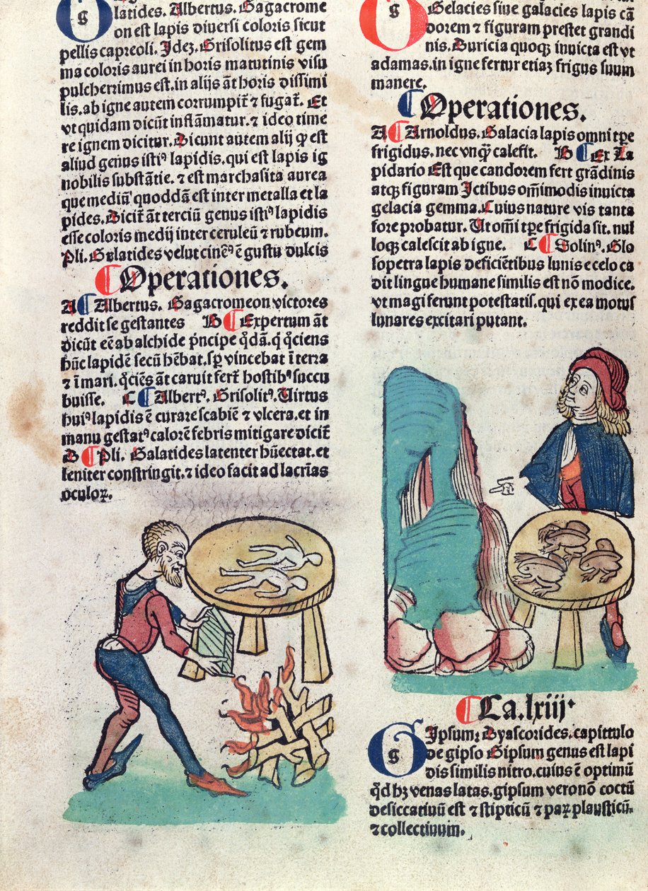 Página ilustrada de Hortus Sanitatis, 1491 (xilogravura colorida) de German School