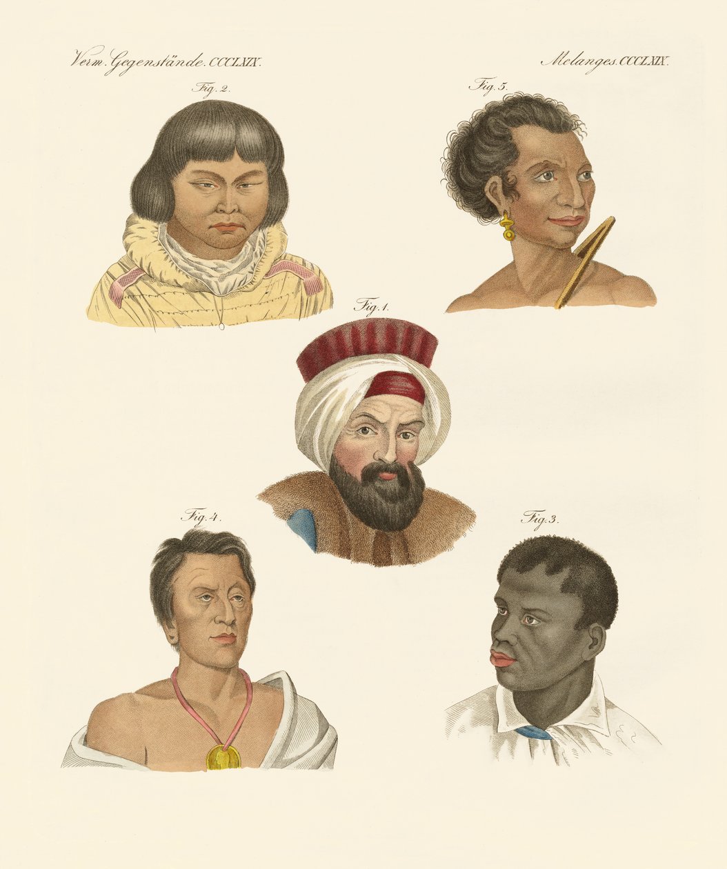 Ilustração das principais raças humanas de German School