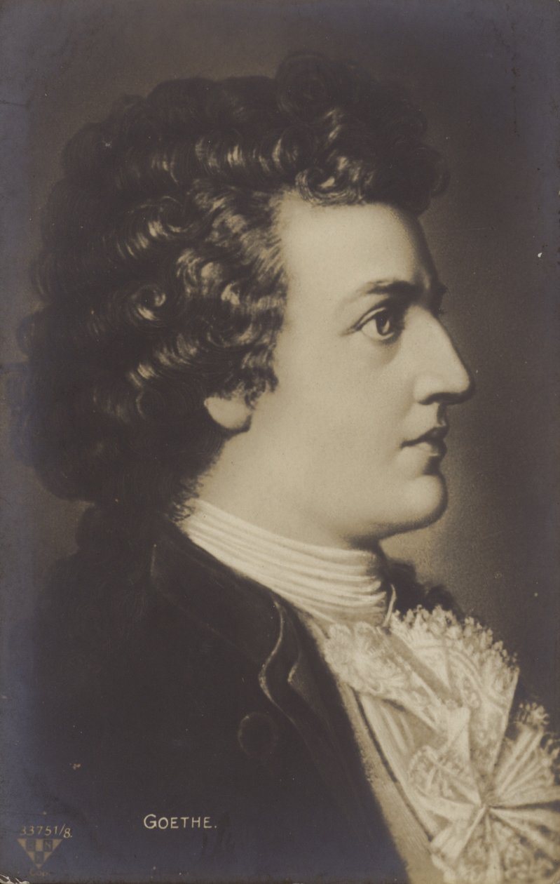 Johann Wolfgang von Goethe (1749-1832), poeta, romancista e dramaturgo alemão (litografia) de German School